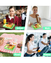 Bento Lunch Box - Green